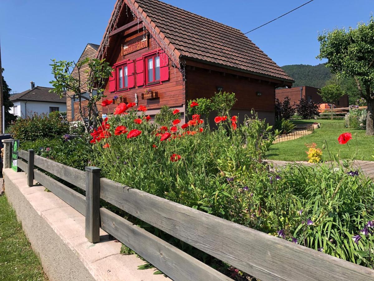 Colline Et Lou Chalet Wintzfelden