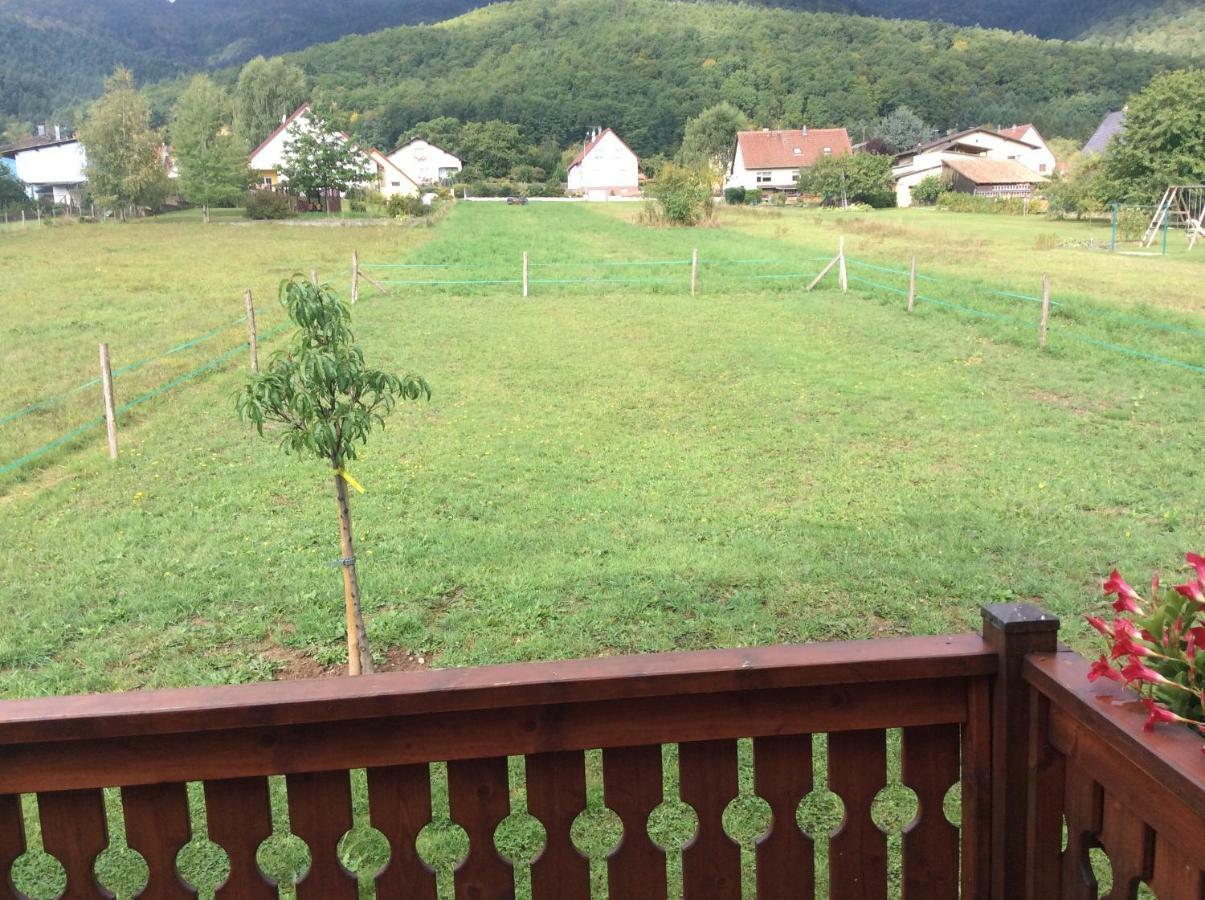 Colline Et Lou Chalet Wintzfelden